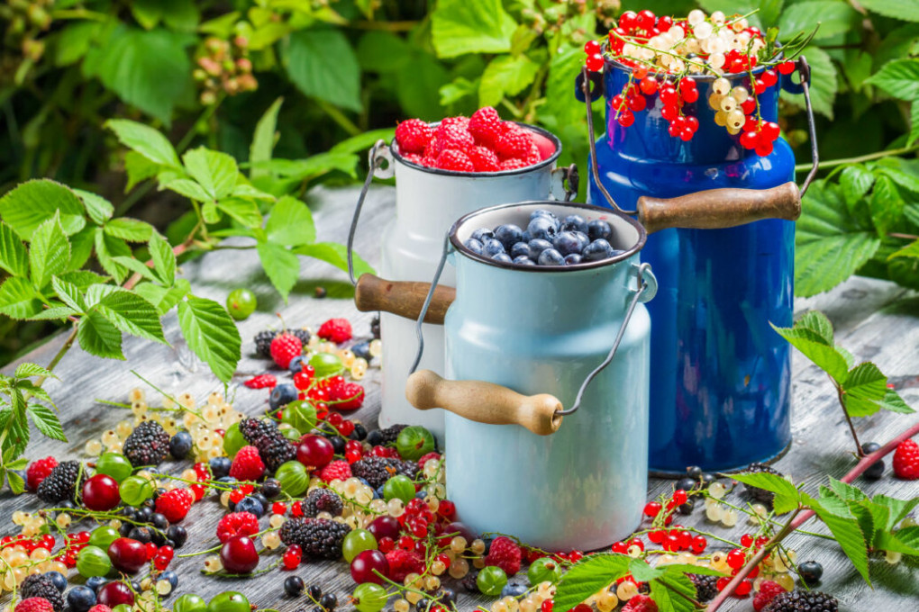 erven.jpg